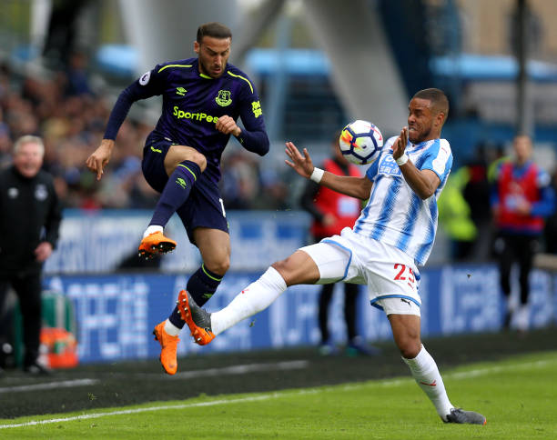 丰富的老牌 丰富的老牌