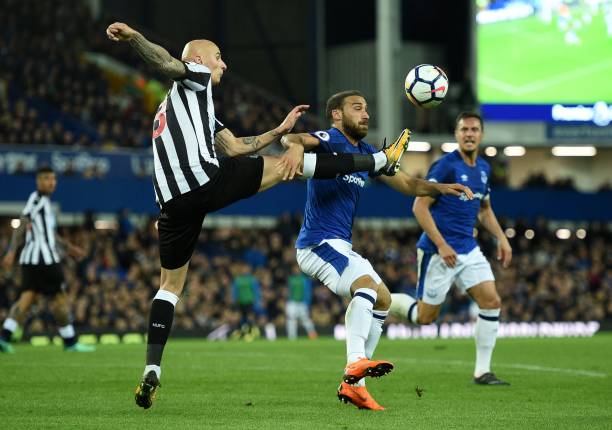 从丹麦的成 从丹麦的成